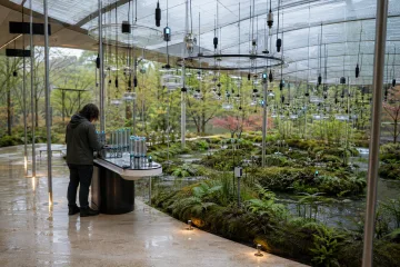 Landscape view of a sustainable bioacoustic research pavilion with suspended transparent sound sensors, wetland plants, rain-monitoring equipment, and an anonymous technician inspecting a console after rainfall.