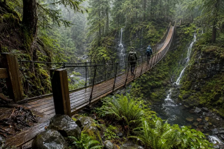 Rain-washed timber suspension walkway crossing a misty cedar forest gorge with two anonymous travelers, mossy rocks, ferns, streams, and small waterfalls.
