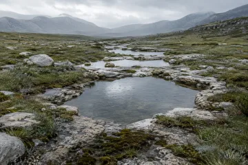 Rain-soaked limestone meadow with shallow reflective mineral pools, silver-green grasses, pale rock terraces, and misty blue-gray ridges beneath an overcast morning sky.