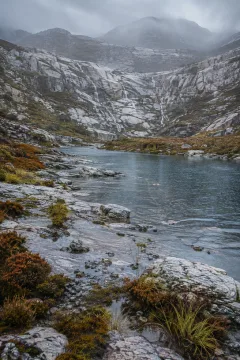 Portrait view of a rain-fed highland tarn bordered by pale quartzite ledges, copper heather, silver alpine grasses, and mist-covered escarpments.