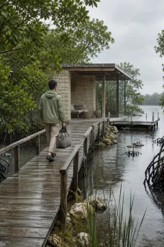 Anonymous traveler in a muted rain jacket walking along a wet timber boardwalk through a mangrove estuary toward a minimalist limestone arrival shelter during soft morning rain.