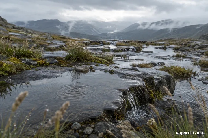 Closer low-angle view across rain-darkened basalt terraces and reflective wetland pools with wet silver-green grasses, raindrop ripples, and mist-covered mountain ridges.